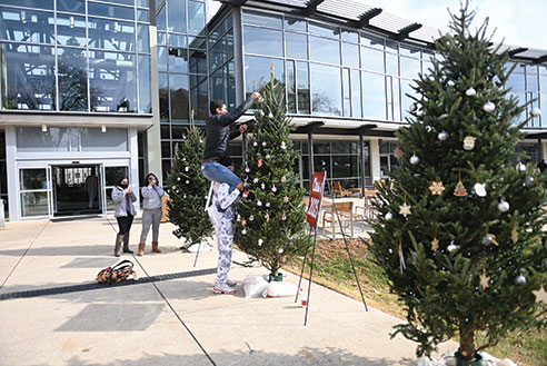 Students decorating Christmas trees. Links to Gifts of Cash, Checks, and Credit Cards